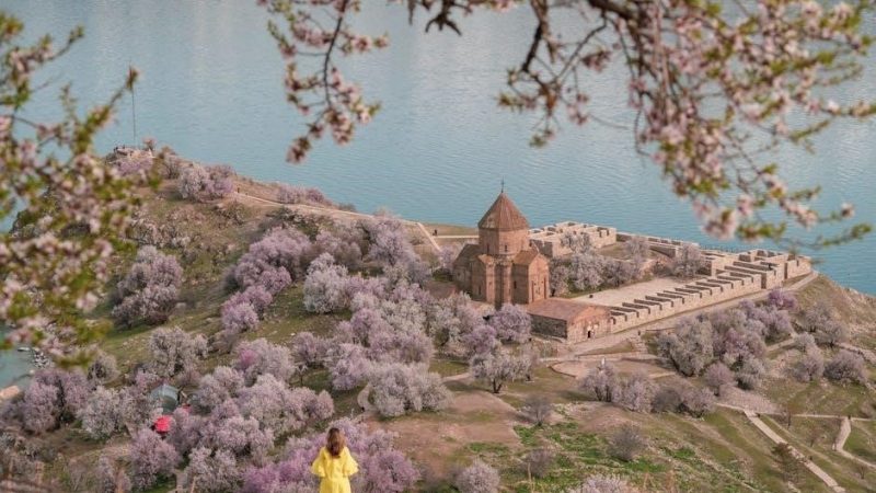 treasure island visitor guide