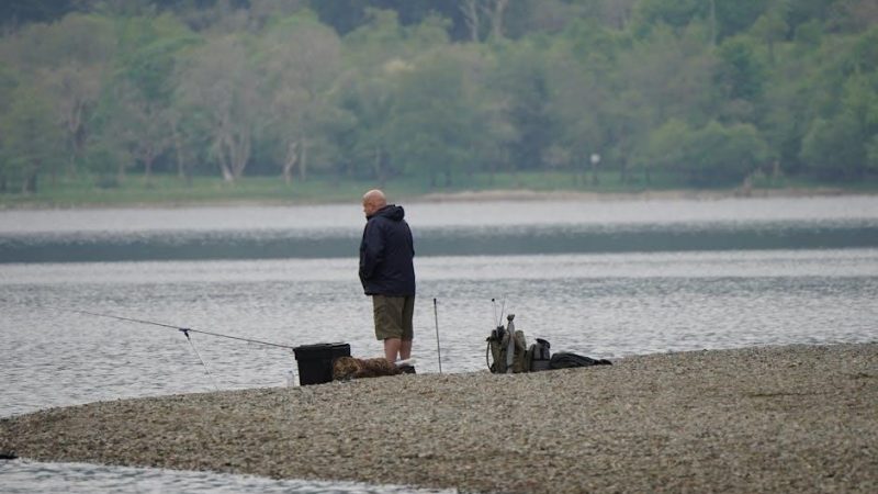 allen cognitive level screen scoring pdf