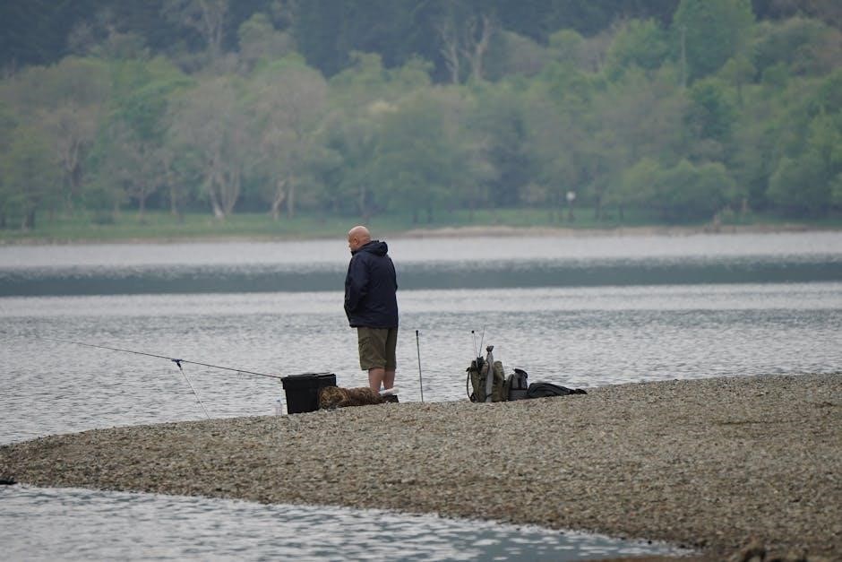 allen cognitive level screen scoring pdf