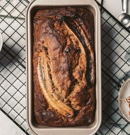 robert shaw thermostat manual