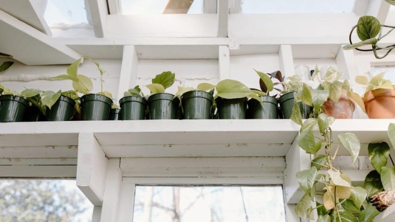 greenhouse assembly instructions